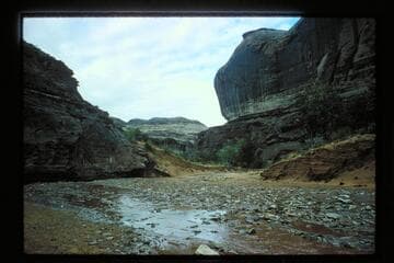 Roost Canyon