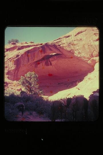 Navajo Canyon