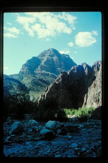 Diamond Creek