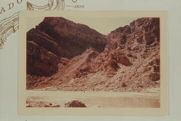 Head of Rapid #8