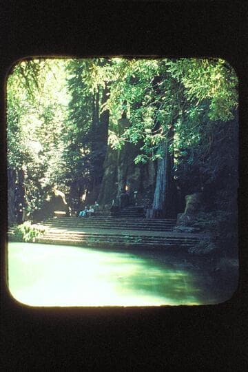 The lake; stage