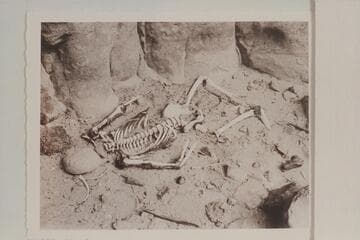 The skeleton at Paradise Canyon. Marble Canyon