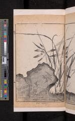 Go to image 123.