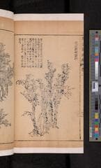 Go to image 124.