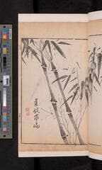 Go to image 213.