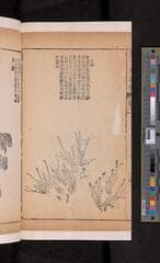 Go to image 150.