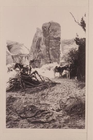 Camp in Nasja Creek