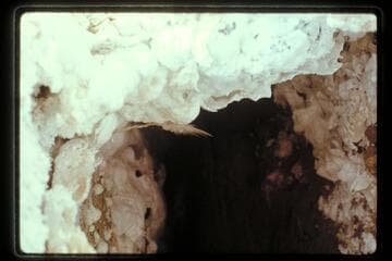 Hopi Salt