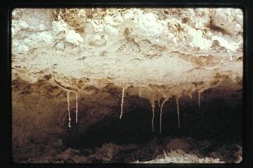 Hopi Salt