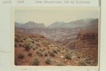 Wheeler Fold
