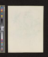 Go to image 228.