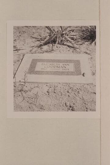 Grave of Elizabeth Ann Goodman.  Vernal Cemetery.  Elizabeth Ann was the third wife of Frank Valentine Goodman