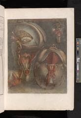 Go to image 31.