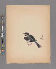 Go to image 211.