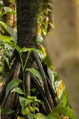 Go to image 3.