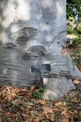 Go to image 13.