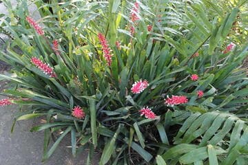 Go to image 3.