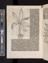 Go to image 464.