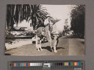 Go to image 43.