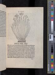 Go to image 169.