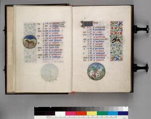 Go to image 5.