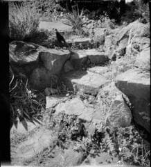 Go to image 3.