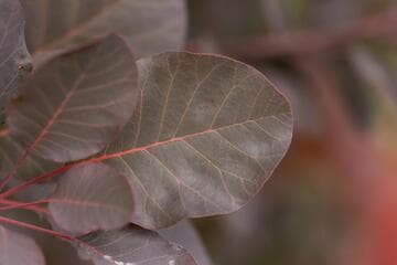 Go to image 13.