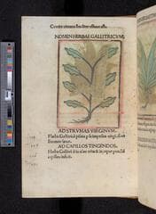 Go to image 114.