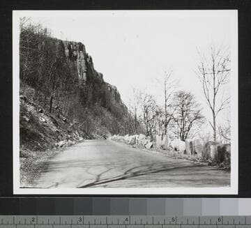 Palisades