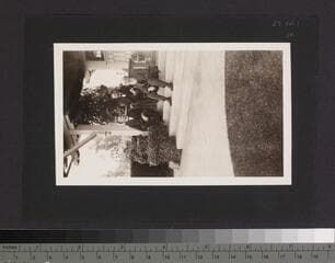 Go to image 33.