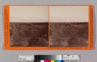 Go to image 1.