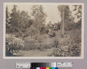 Go to image 1.