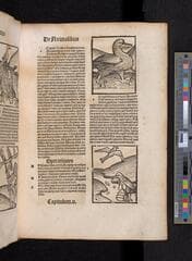 Go to image 497.
