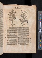 Go to image 317.