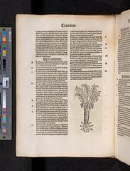 Go to image 124.