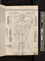 Go to image 11.