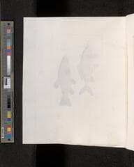 Go to image 304.