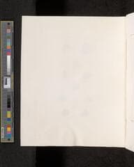 Go to image 248.