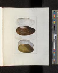 Go to image 251.