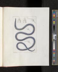 Go to image 373.