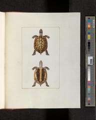 Go to image 347.