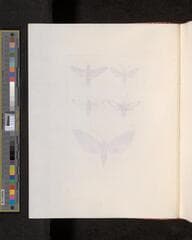 Go to image 84.