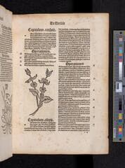 Go to image 209.