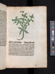 Go to image 195.