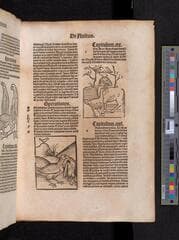 Go to image 549.