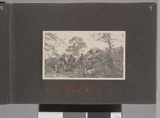 Go to image 11.