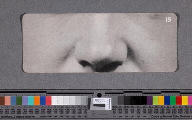 Go to image 43.