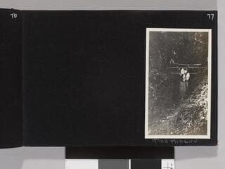 Go to image 79.