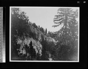 Go to image 90.