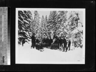 Go to image 66.